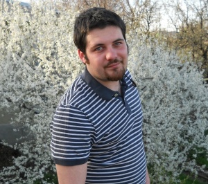 Эксперт: Стариков Георгий