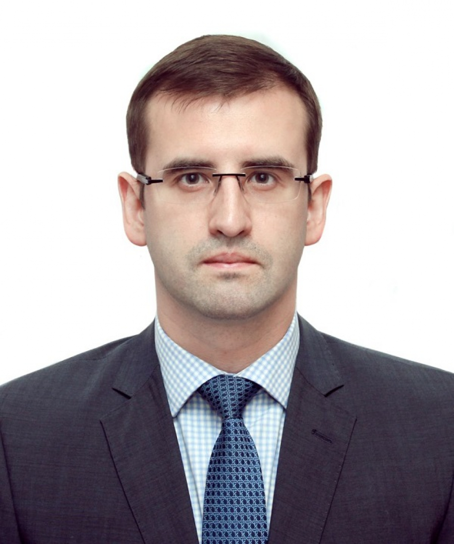 Председатель новгородской области